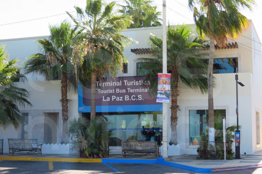 Aumenta demanda de pasajes por vacaciones en Autotransportes Águila, en La  Paz - BCS Noticias