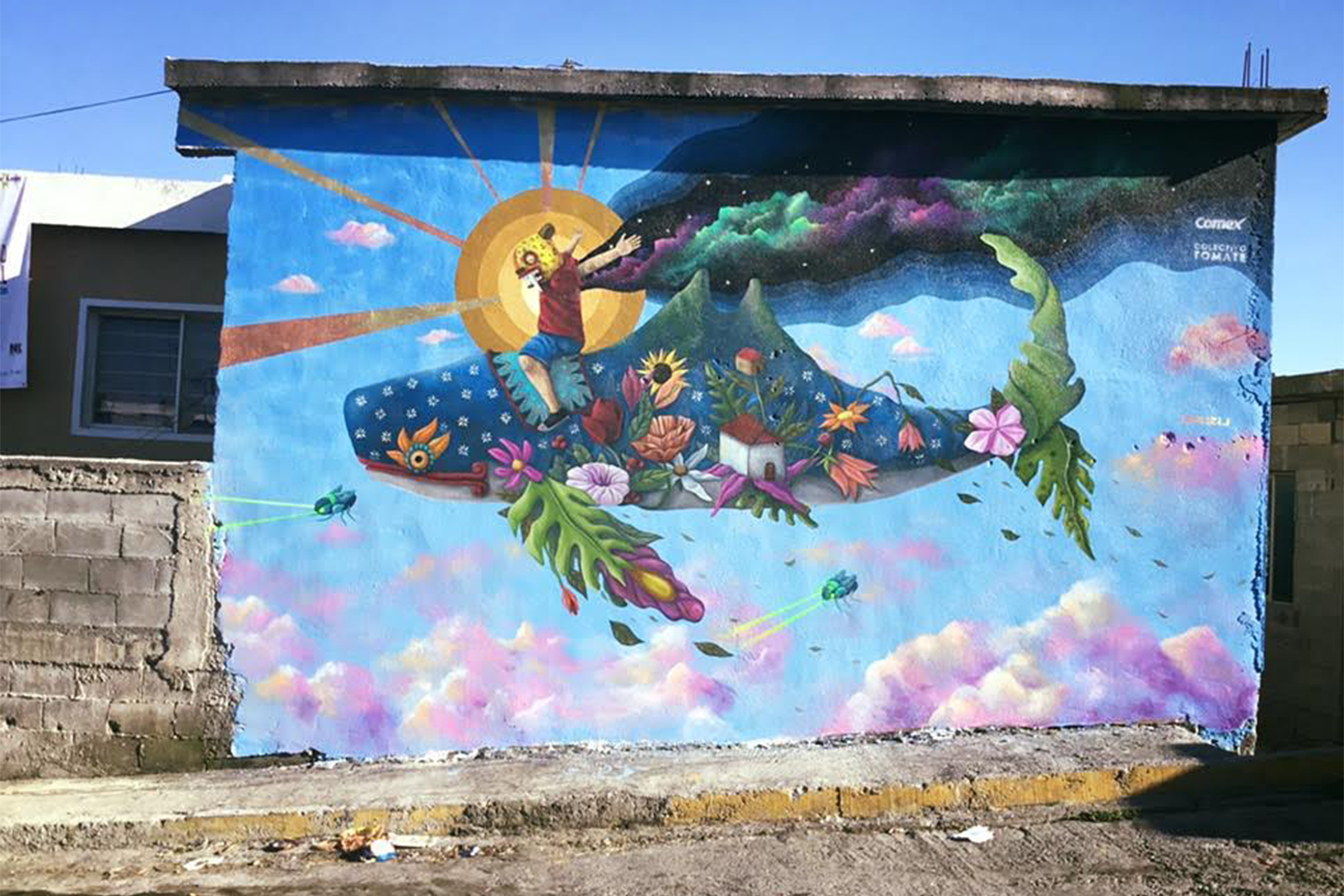 Inició el proyecto 'Ciudad Mural' en La Paz; participarán 25 artistas  locales y nacionales - BCS Noticias